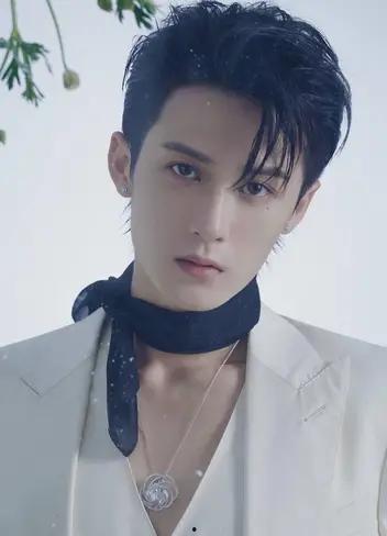 中国明星帅哥图片,光影中的魅力瞬间