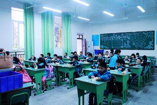 生活 学习 娱乐,全方位提升自我品质的秘诀